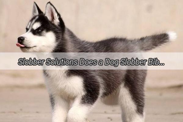 Slobber Solutions Does a Dog Slobber Bib Really Work A Comprehensive Guide